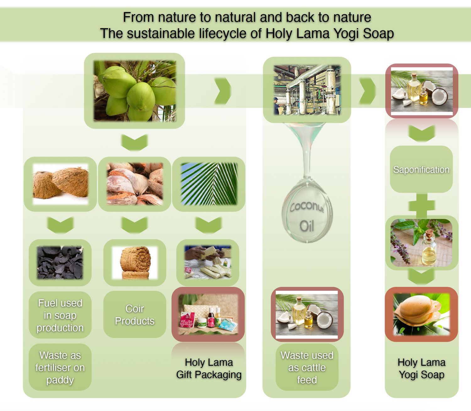 Sustainable Life Cycle of Soaps