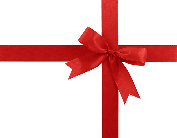 Eco-Friendly Gift Wrap (SCARF)