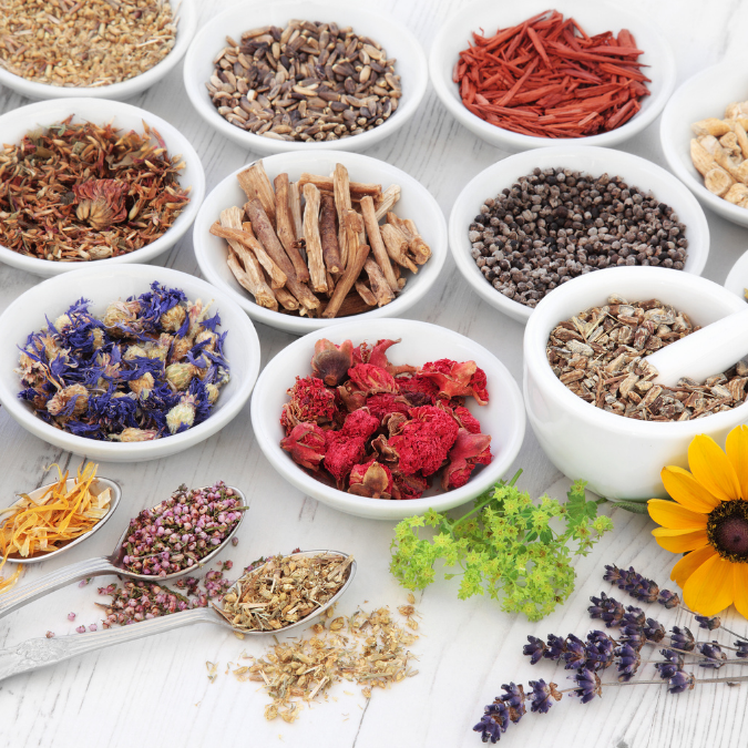 Herbs in Ayurveda: A Guide for Mind, Body and Soul