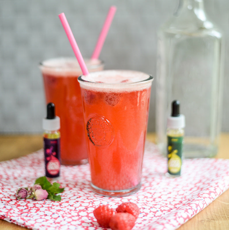 Raspberry Gin Fizz Cocktail by Ren Behan — Holy Lama Naturals