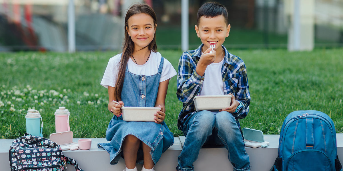 Easy Sugar-Free Lunch Box Treats | Blog — Holy Lama Naturals